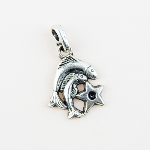 Horoscope Pendant / Charm